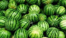 吃瓜解暑视频下载免费,跟着吃瓜视频免费下载解暑秘籍